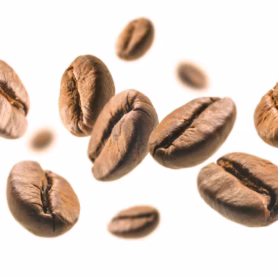 coffee-beans-levitate-white-background_485709-33 coffee-beans-levitate-white-background_485709-33